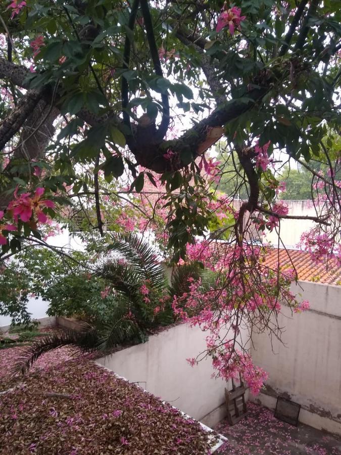 Alem Mendoza Apartment Luaran gambar